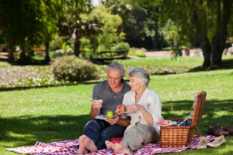 seniors, picnic, outdoors