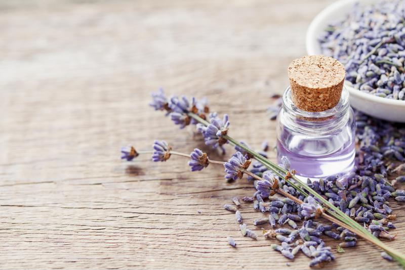 lavender, essential oil, aromatherapy