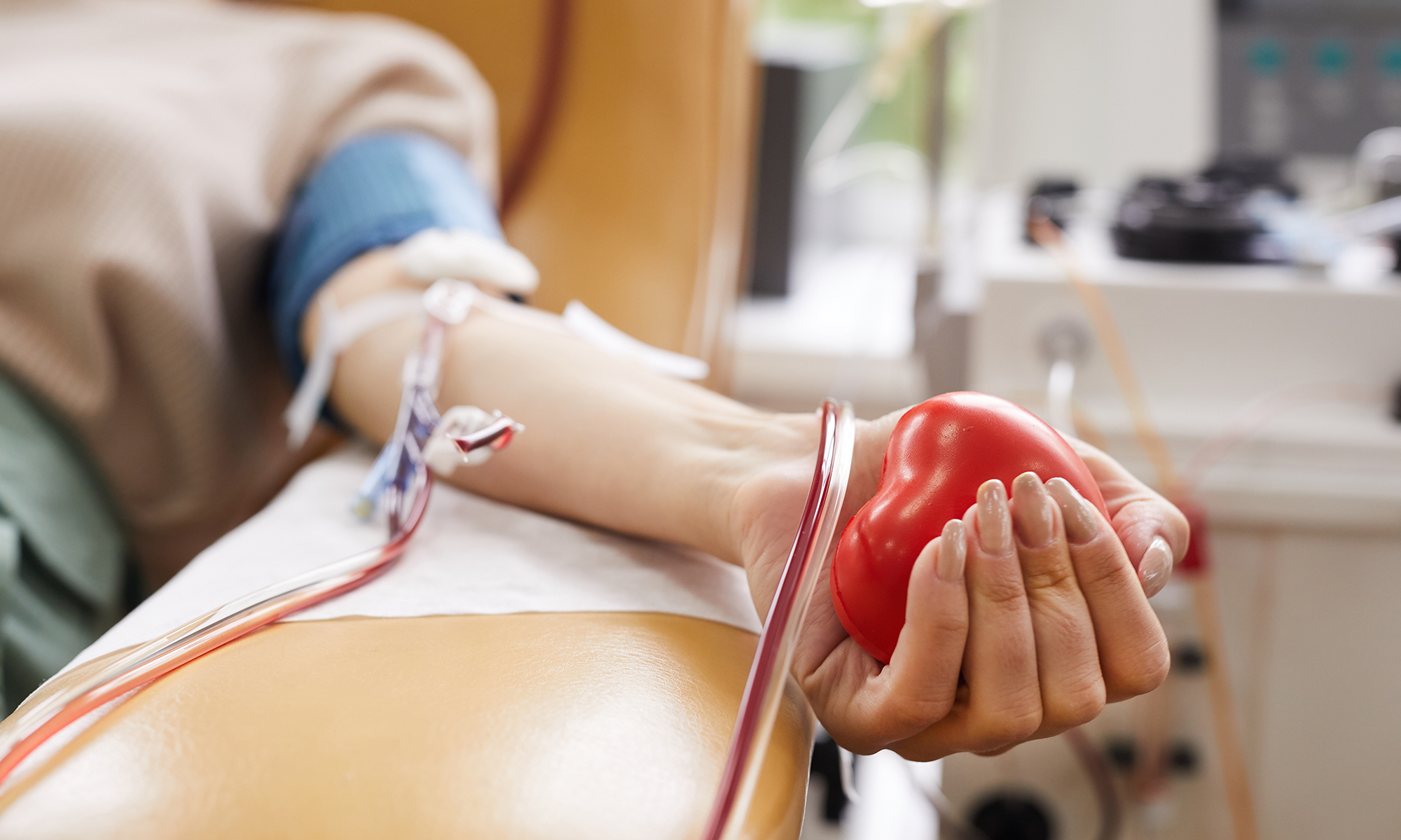 image of woman's arm holding a heart shaped squeeze ball and donating blood